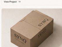 Project Synq